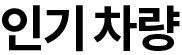 인기차량