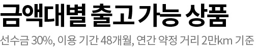 금액대별 차량